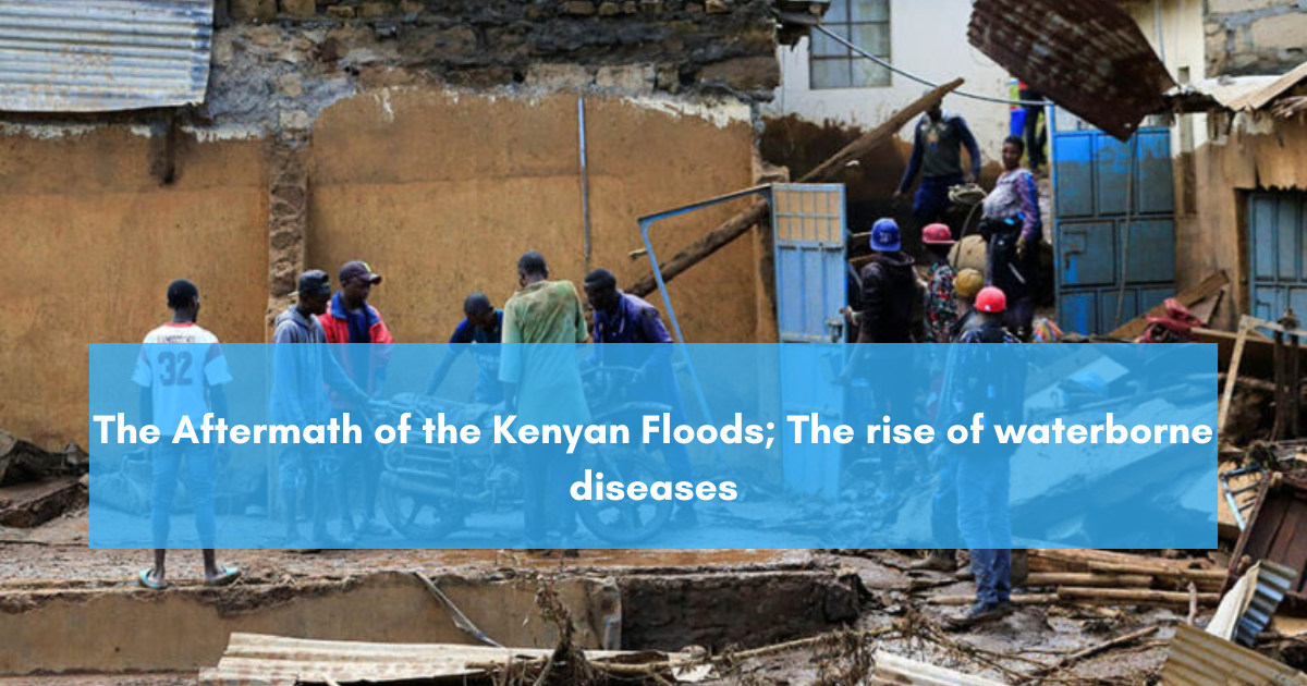 The Aftermath of the Kenyan Floods; The rise of waterborne diseases